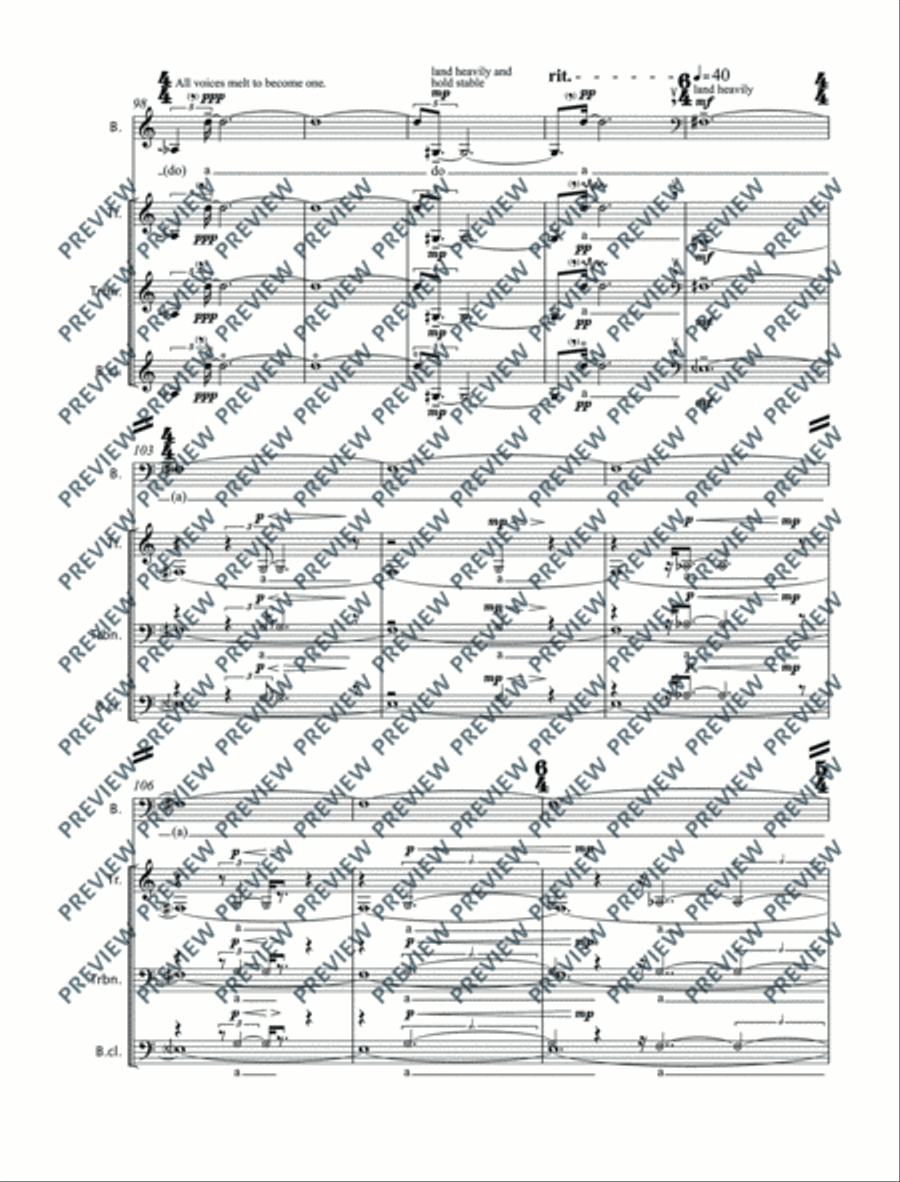Irrational Irrational Clarinet scores gallery preview page 19