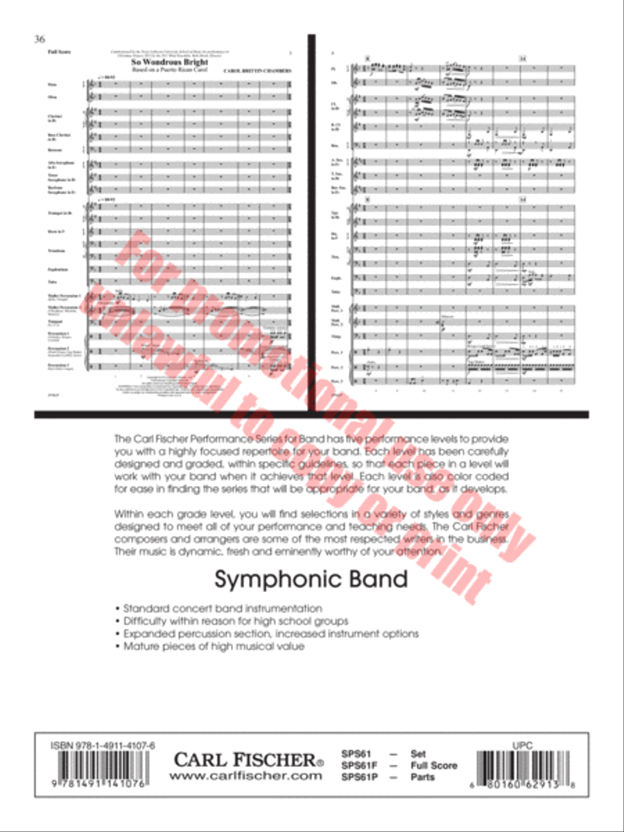 The Lake in the Sky The Lake in the Sky Concert Band scores gallery preview page 37