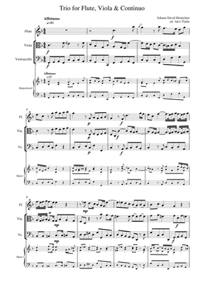 Trio for Flute, Viola & Continuo