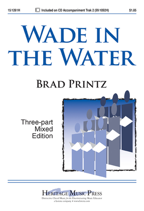Book cover for Wade in the Water