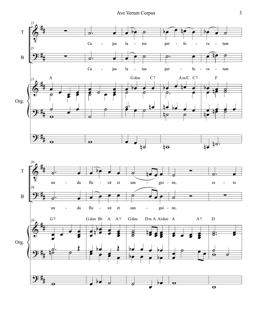 Ave Verum Corpus (Duet for Tenor and Bass Solo - Organ Accompaniment) Tenor Voice scores gallery preview page 3