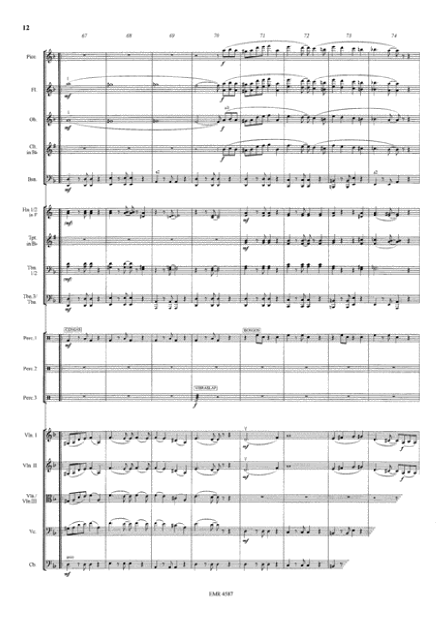 Latin Fever Orchestra scores gallery preview page 13