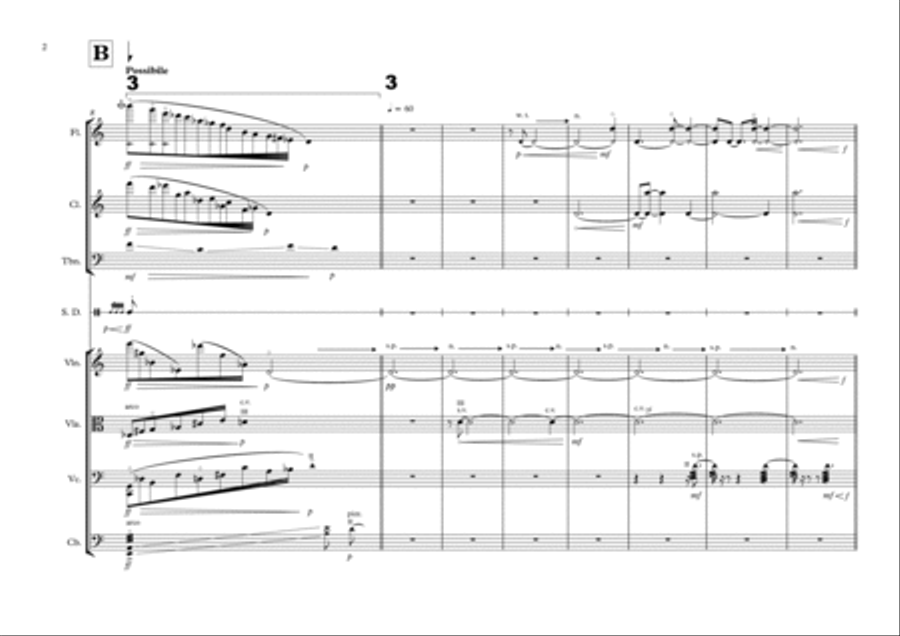 Towards Singularity for an ensemble of 8 instruments Chamber Music scores gallery preview page 6