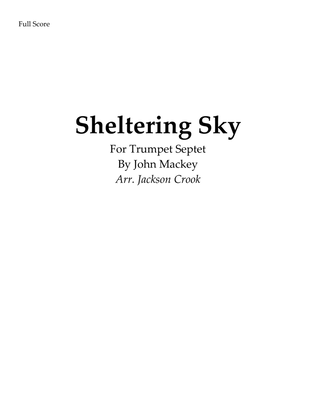 Book cover for Sheltering Sky