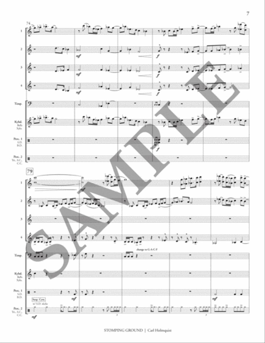 Stomping Ground (transposed score) Flexible/Adaptable scores gallery preview page 12