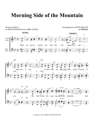 Morning Side Of The Mountain