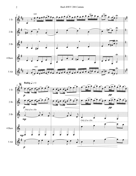 Bach BWV 208 Aria May Sheep Safely Graze Cantata