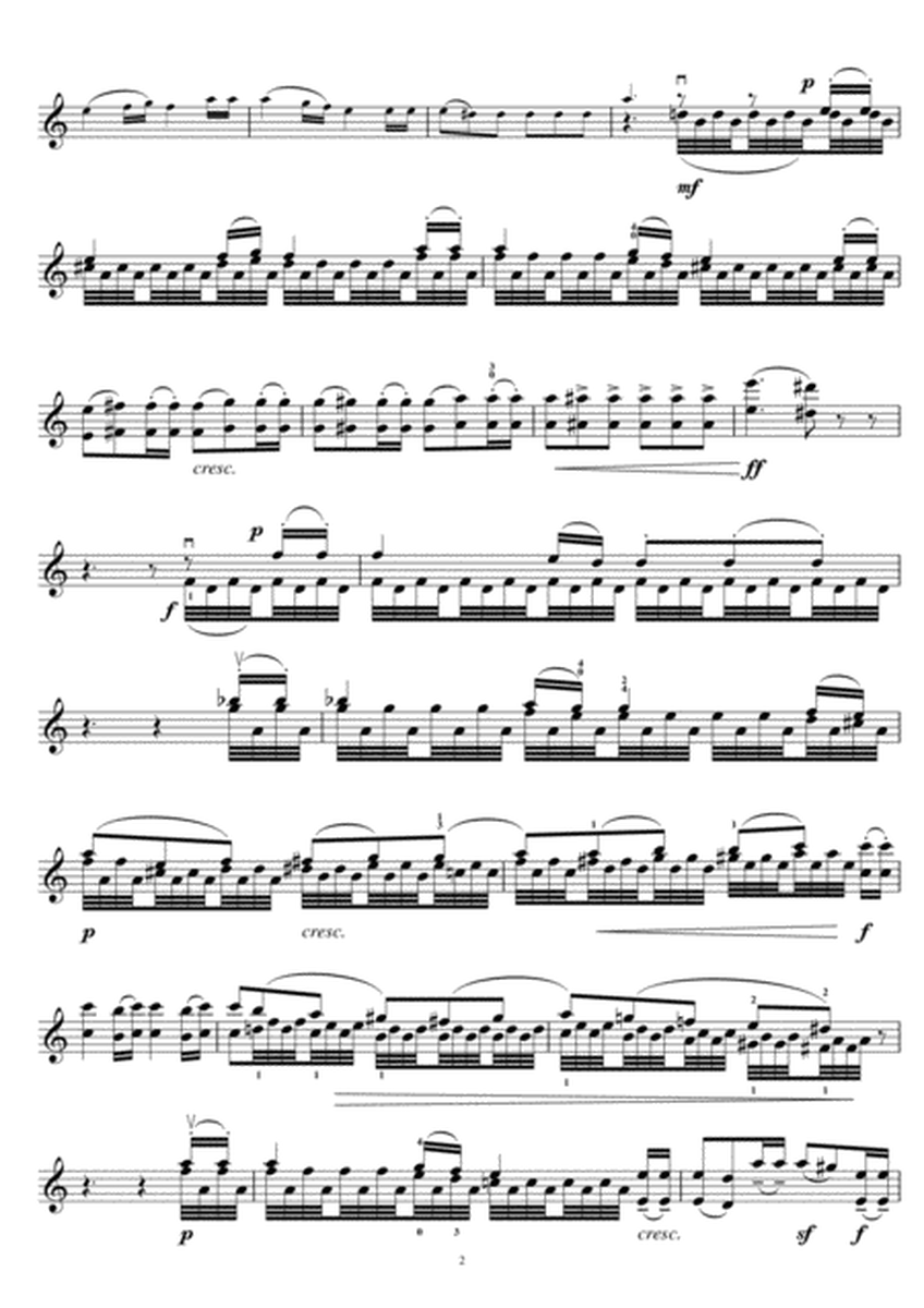 Violin Concerto In E Minor, 2nd Movement: Andante