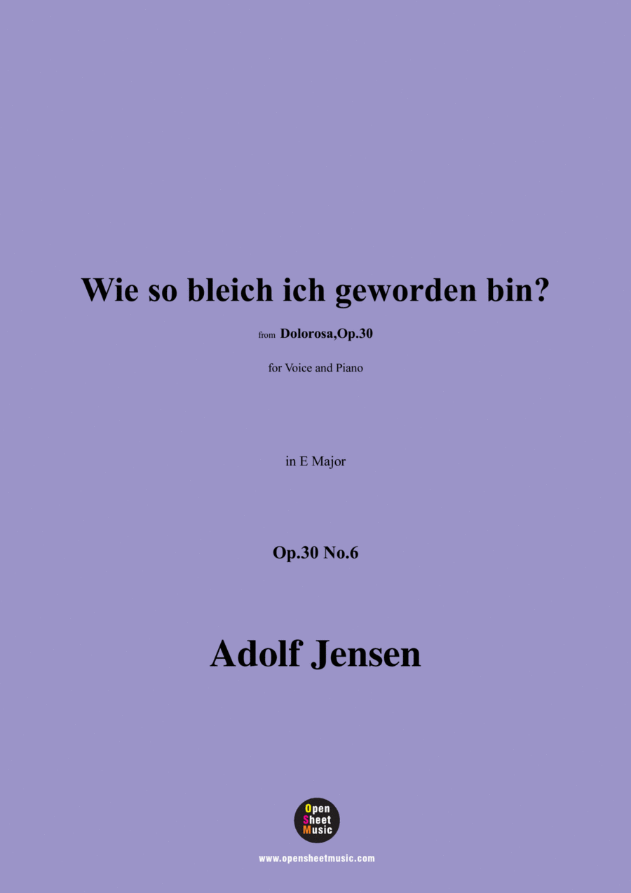 A. Jensen-Wie so bleich ich geworden bin?,Op.30 No.6,in E Major Voice scores gallery preview page 1