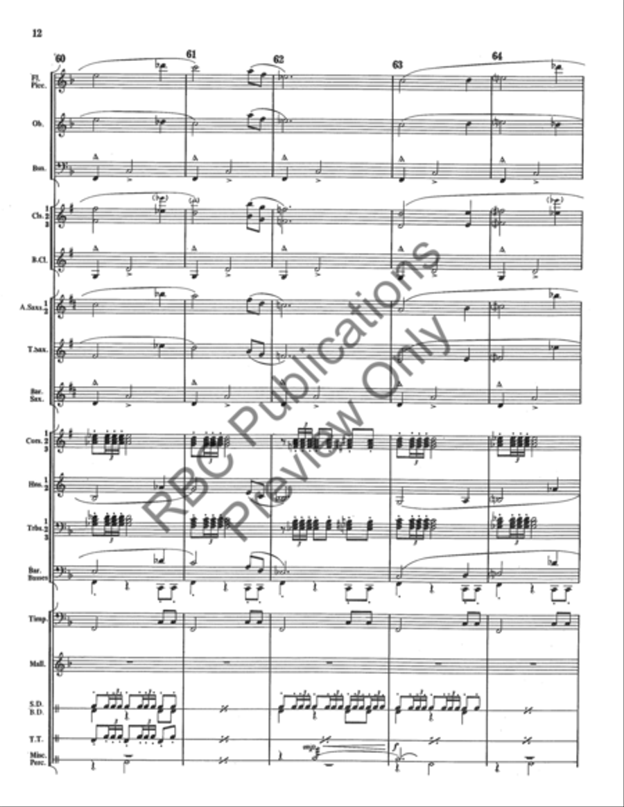 Danza Tambor Bolero Concert Band scores gallery preview page 13
