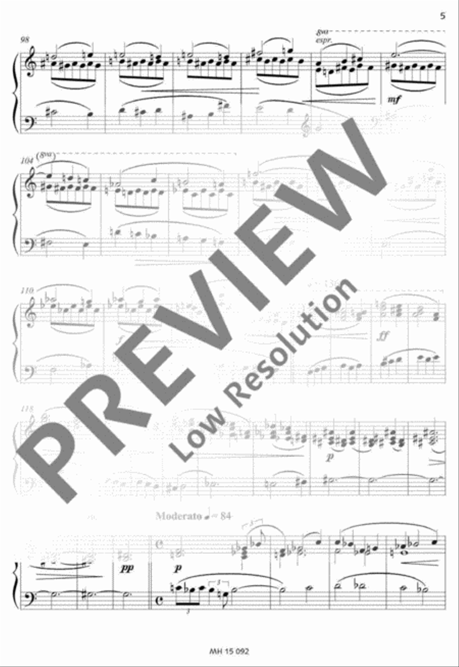 Fiori teneri Accordion scores gallery preview page 6