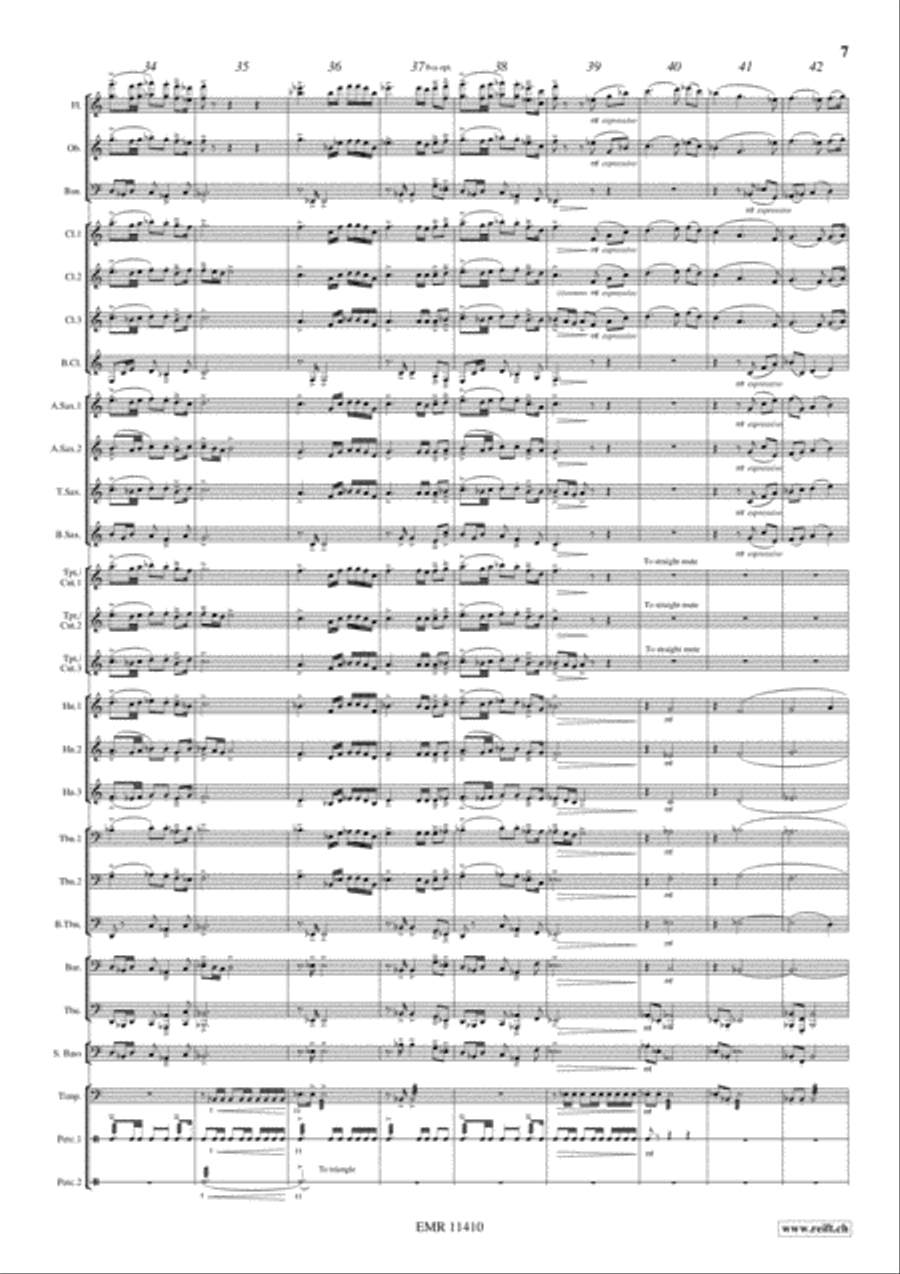 Processional Concert Band scores gallery preview page 8