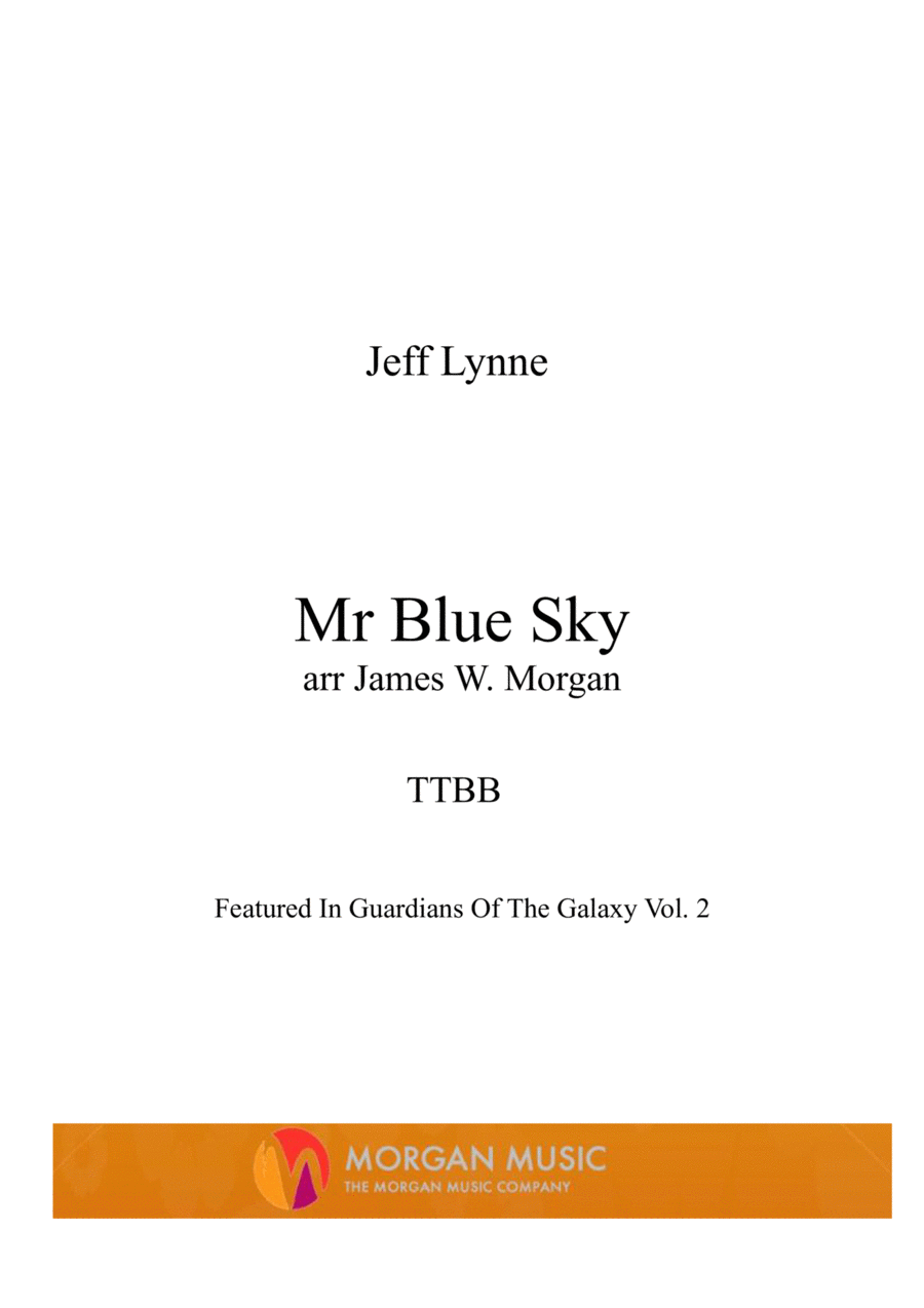 Book cover for Mr. Blue Sky