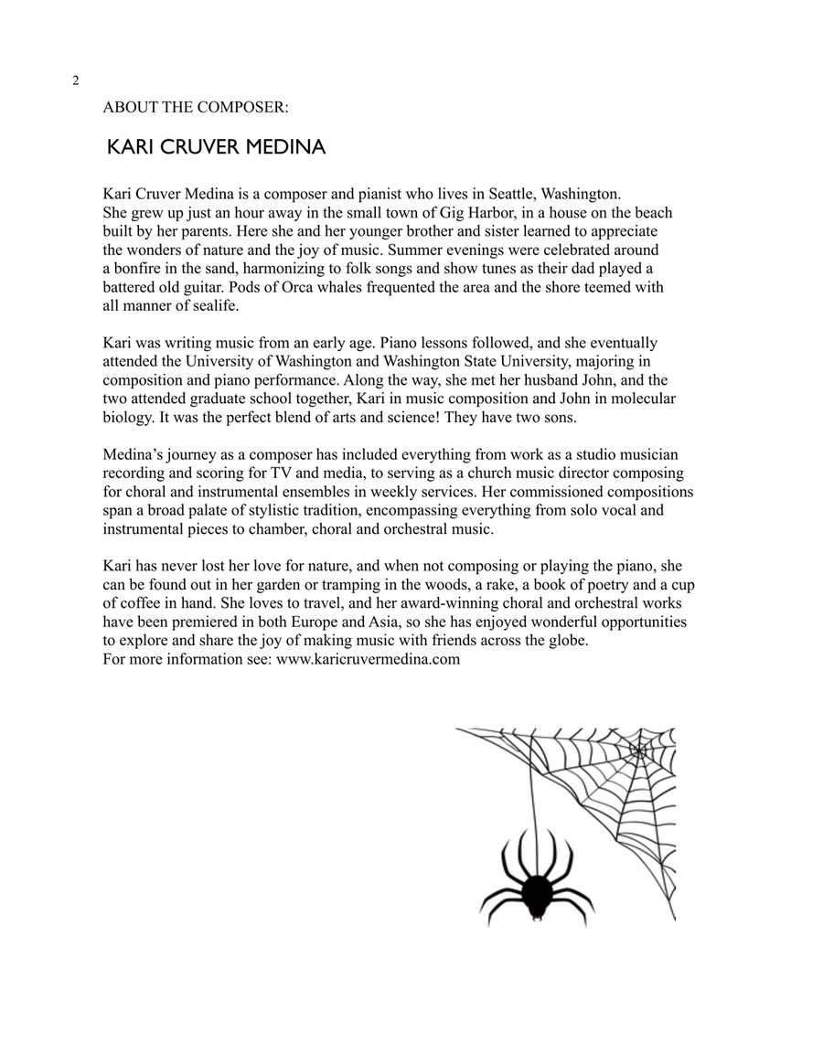 Web and Wings Piano Solo scores gallery preview page 2