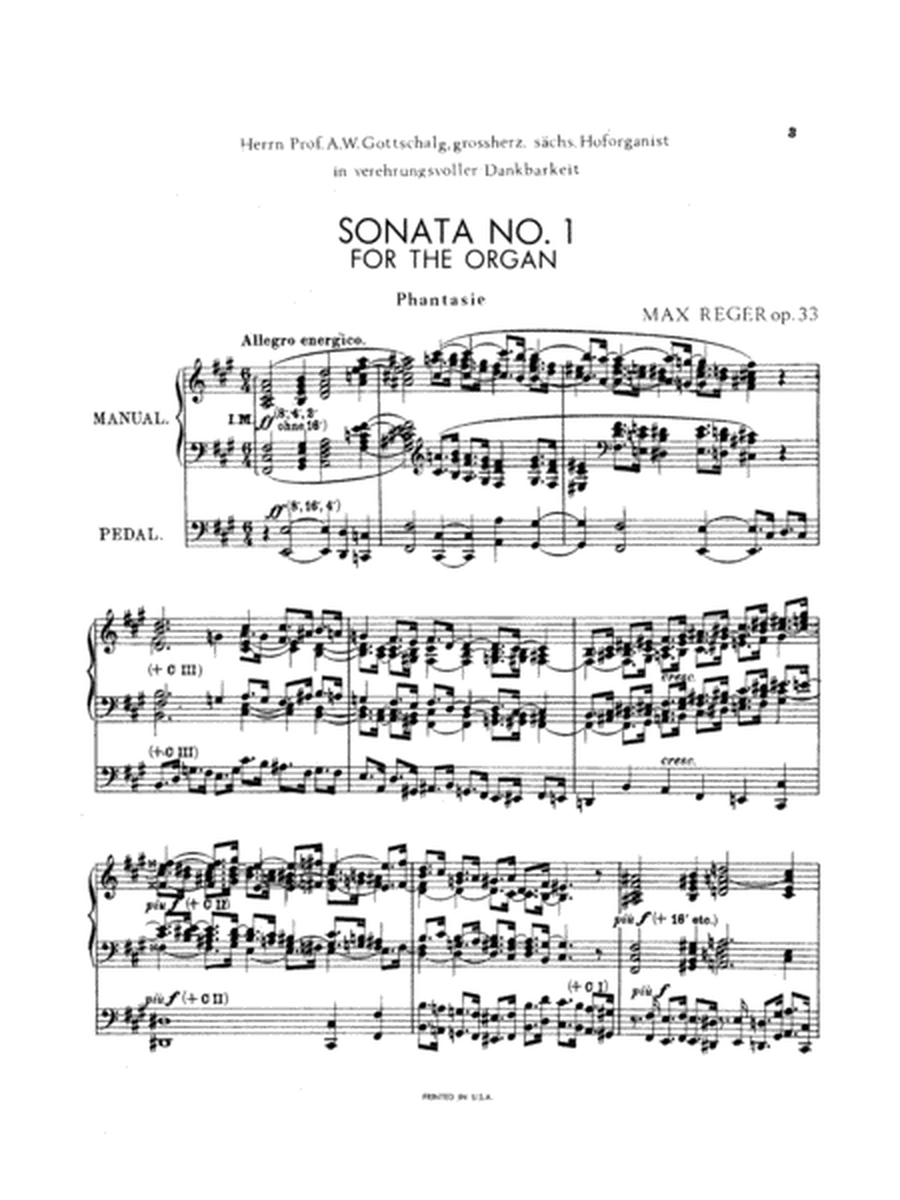 Reger: Sonata in F sharp Minor, Op. 33