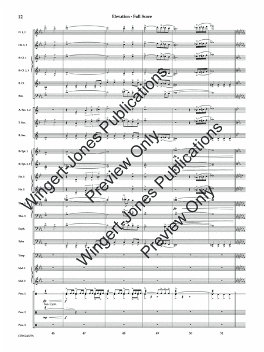 Elevation (Score) Concert Band scores gallery preview page 13