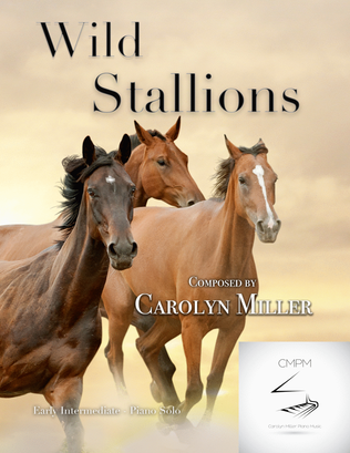 Book cover for Wild Stallions