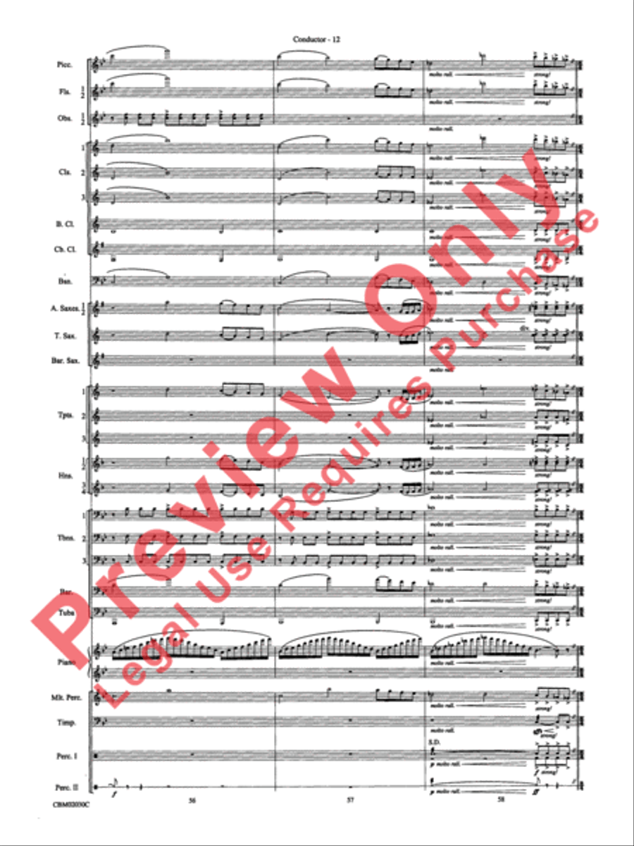 John Williams: Fantasy of Flight (Medley) Concert Band scores gallery preview page 15