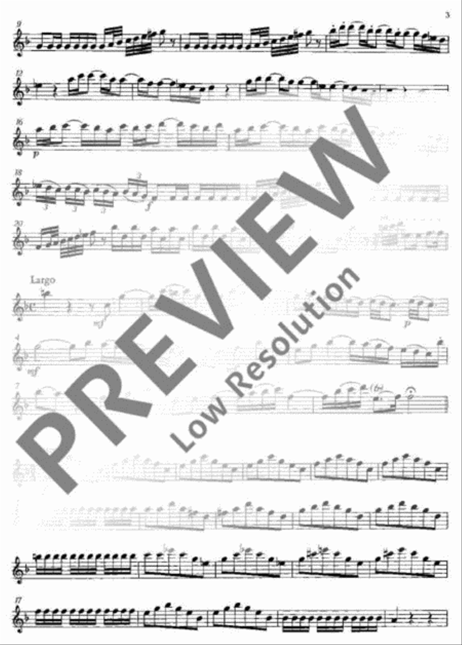 Concerto No. 2 G minor Flute scores gallery preview page 19