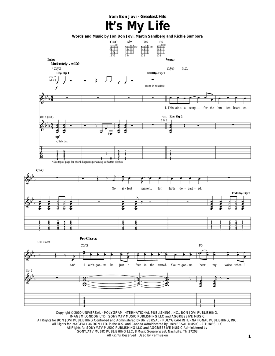 It's My Life Acoustic Guitar scores gallery preview page 1