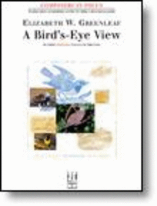 Book cover for A Bird's-Eye View