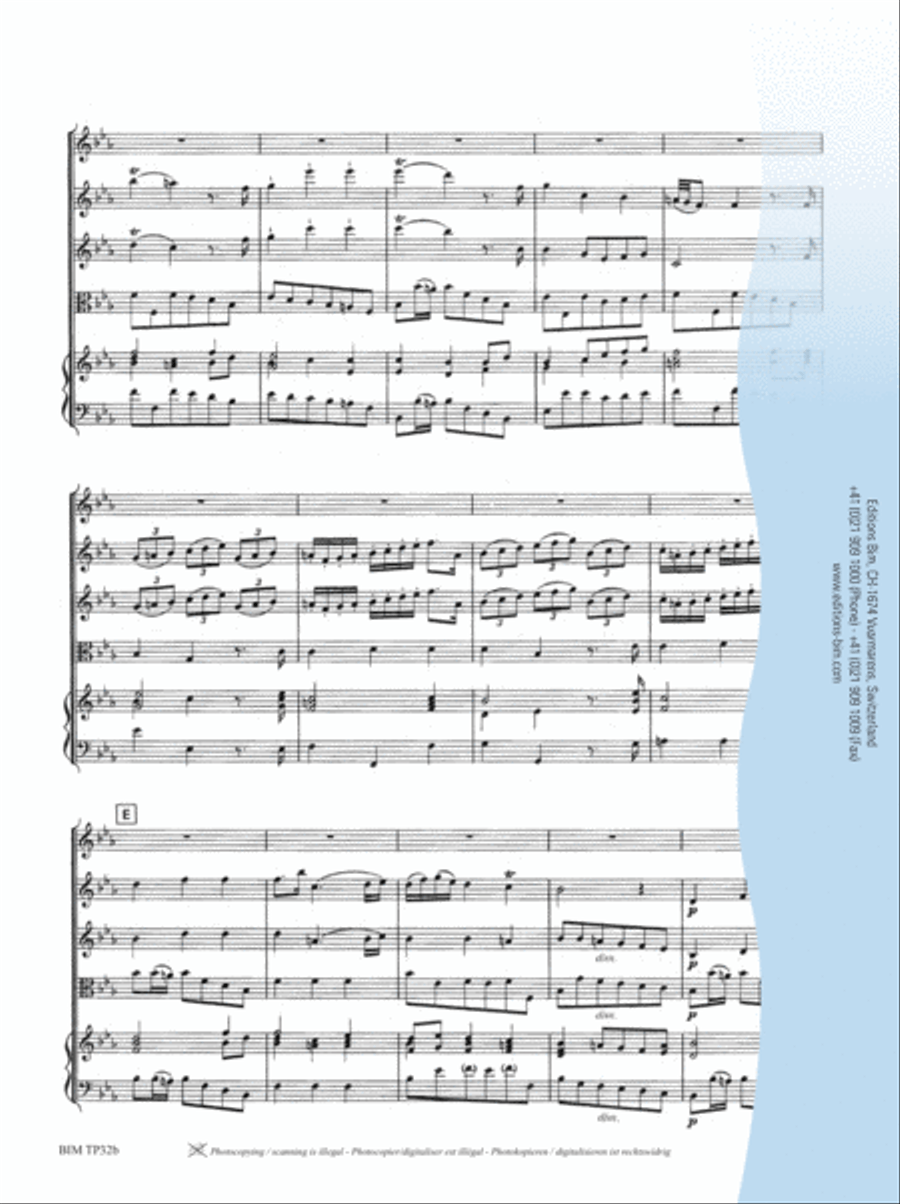 Concerto in Eb Major Concerto in Eb Major String Orchestra scores gallery preview page 13