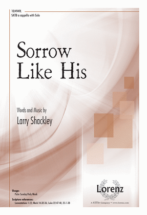 Book cover for Sorrow Like His