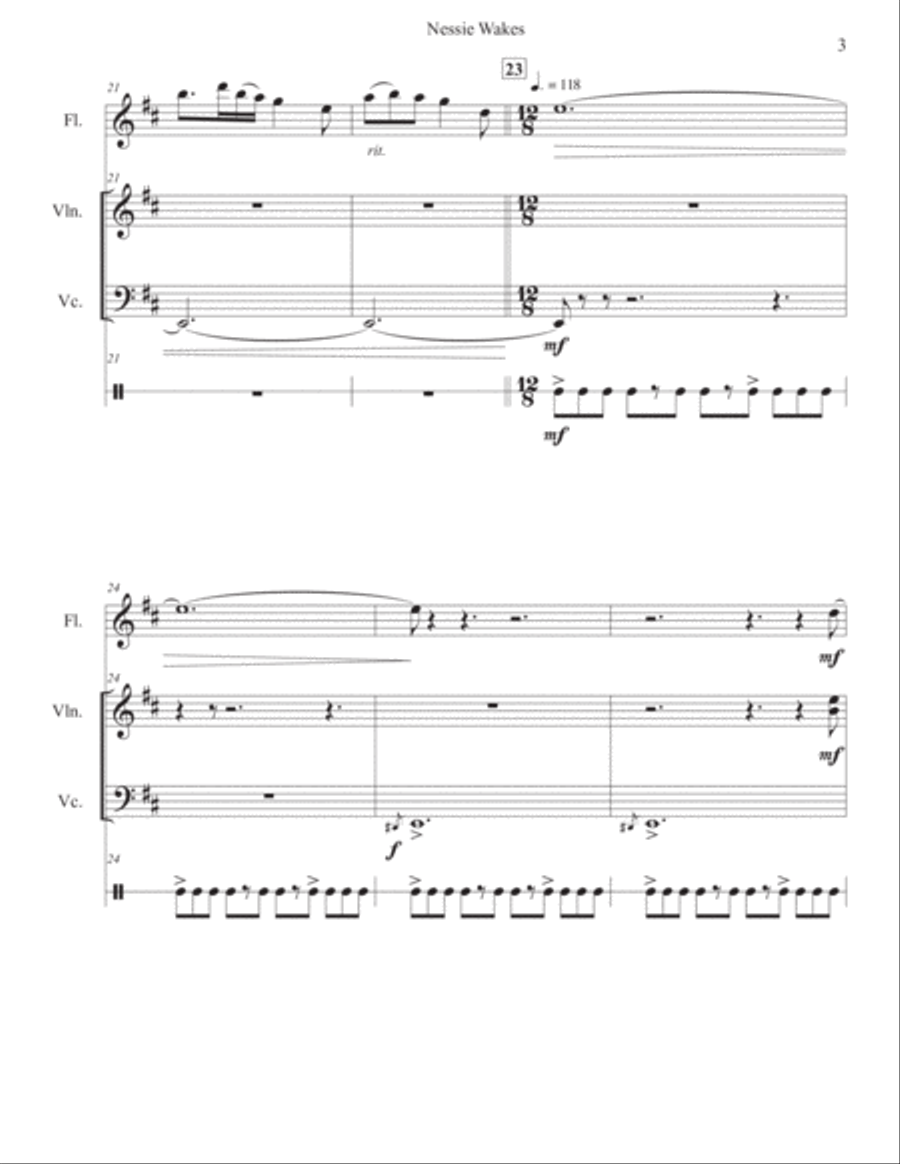 Nessie Wakes - A Celtic Quartet Small Ensemble scores gallery preview page 3