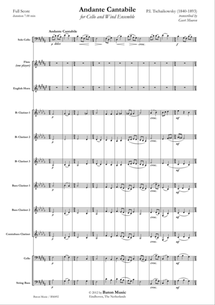 Andante Cantabile Concert Band scores gallery preview page 2
