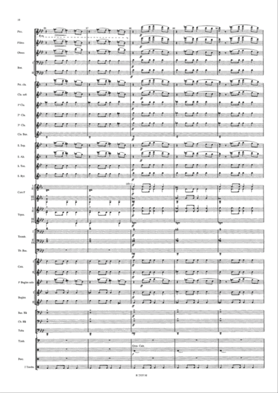 Symphonie Funebre et Triomphale Concert Band scores gallery preview page 19