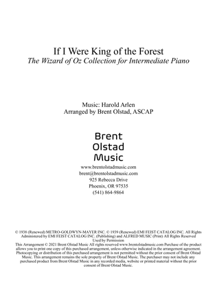 Book cover for If I Were King Of The Forest