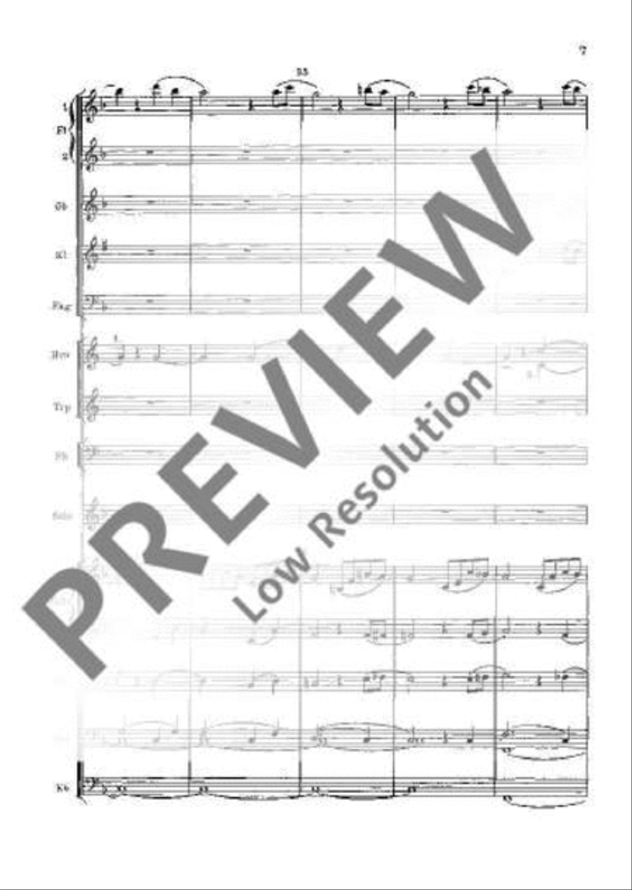 Concerto D Minor Orchestra scores gallery preview page 12