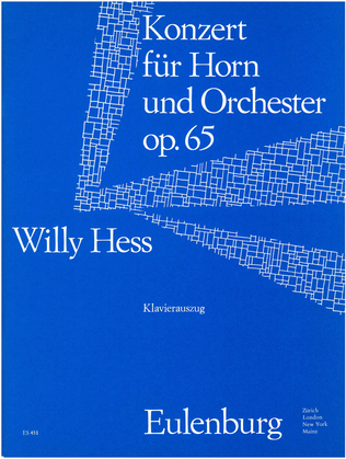 Book cover for Concerto for horn