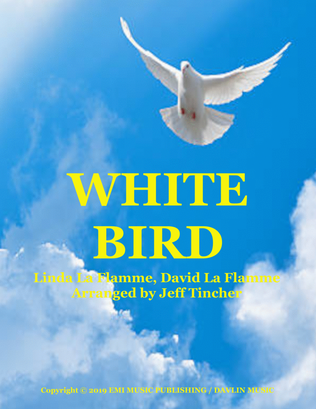 White Bird