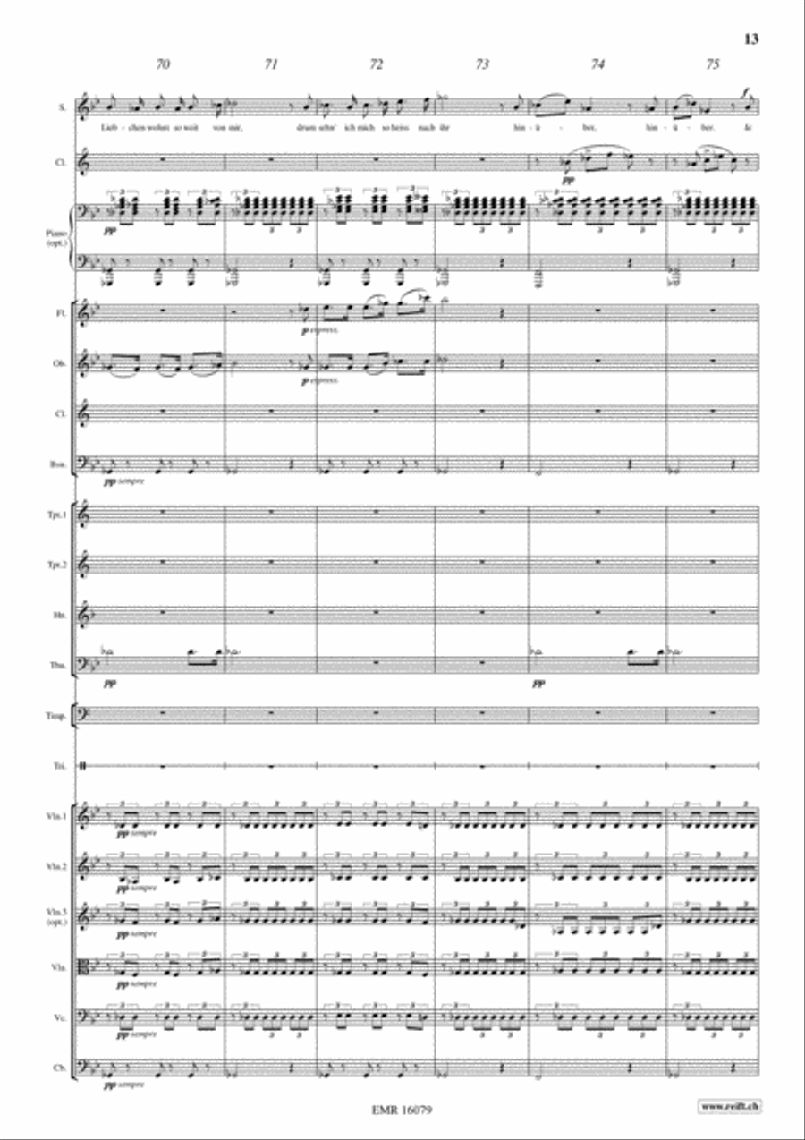 Der Hirt auf dem Felsen Der Hirt auf dem Felsen Orchestra scores gallery preview page 14