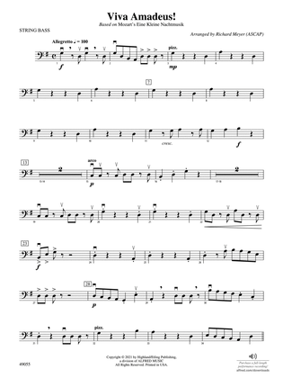 Viva Amadeus!: String Bass