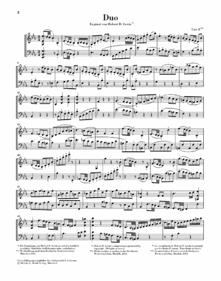 Duo for Violin and Violoncello, Fragment