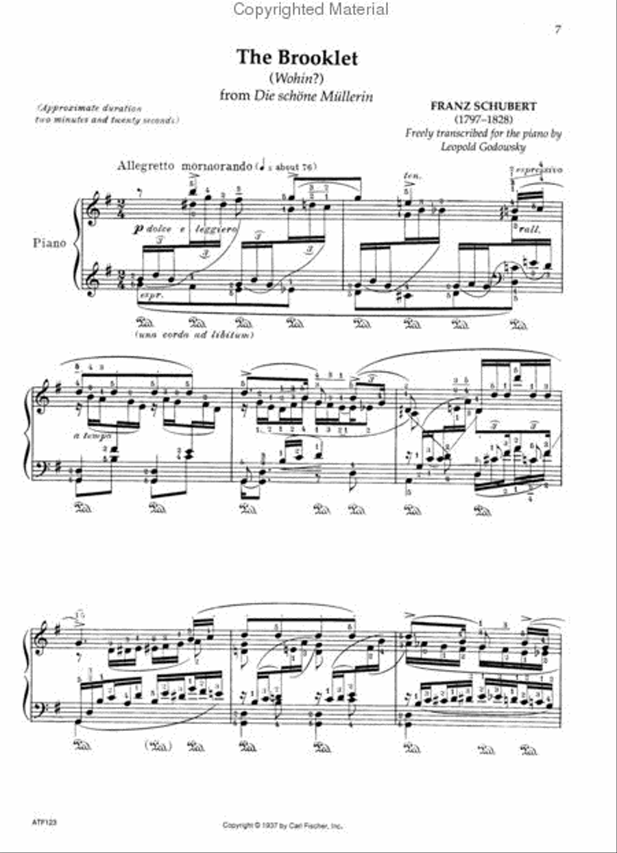 Godowsky Collection, Volume 2 -Transcriptions, Arrangements And Cadenzas Piano Solo scores gallery preview page 5