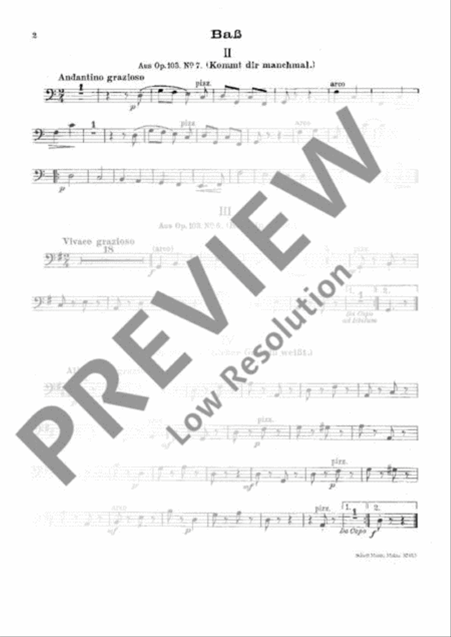 Zigeunerlieder Orchestra scores gallery preview page 15