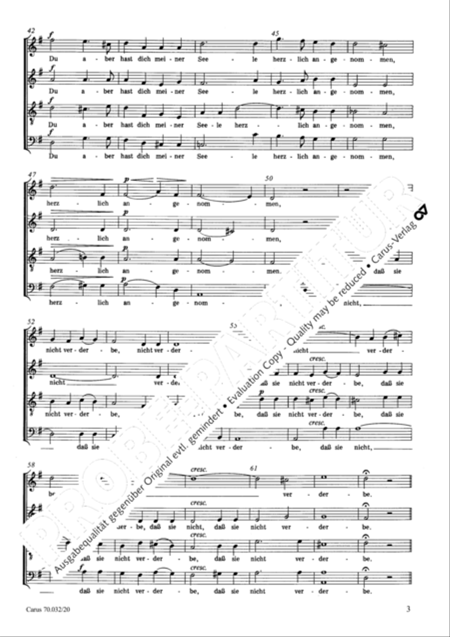 Siehe, um Trost war mir sehr bange 4-Part scores gallery preview page 4