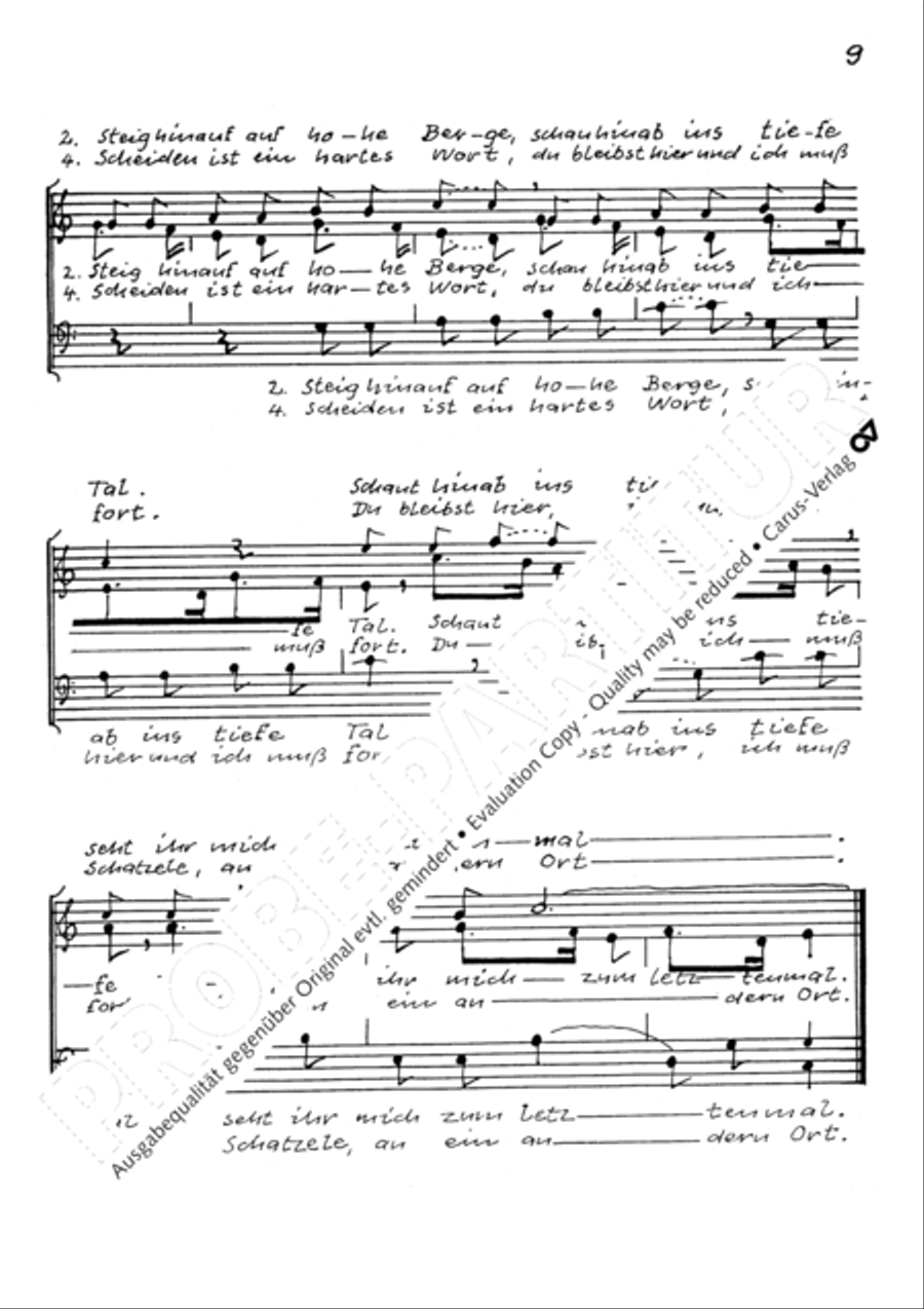 Auf hohen Bergen. Sechs schwabische Volkslieder Choir scores gallery preview page 12