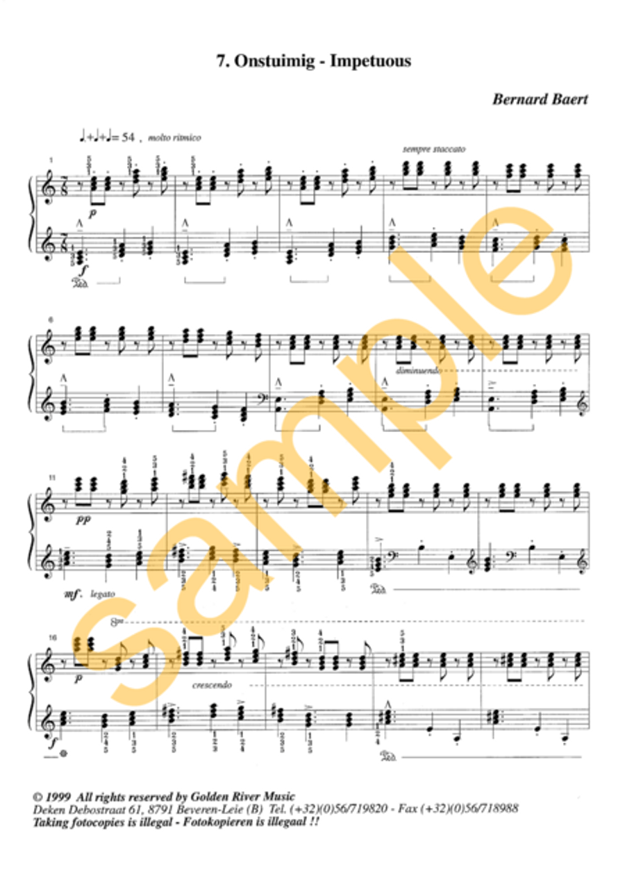Affecten 7-12 for piano Piano Solo scores gallery preview page 2