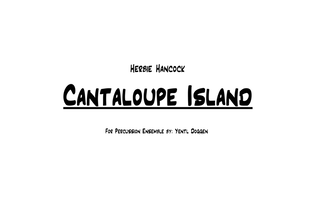 Book cover for Cantaloop (flip Fantasia)