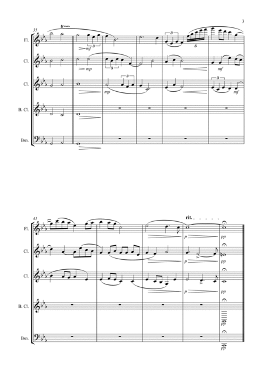Sketches on a Thought Woodwind Quintet scores gallery preview page 3