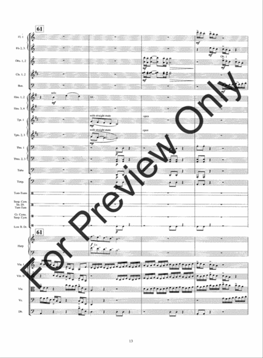 Warrior's Run String Orchestra scores gallery preview page 16