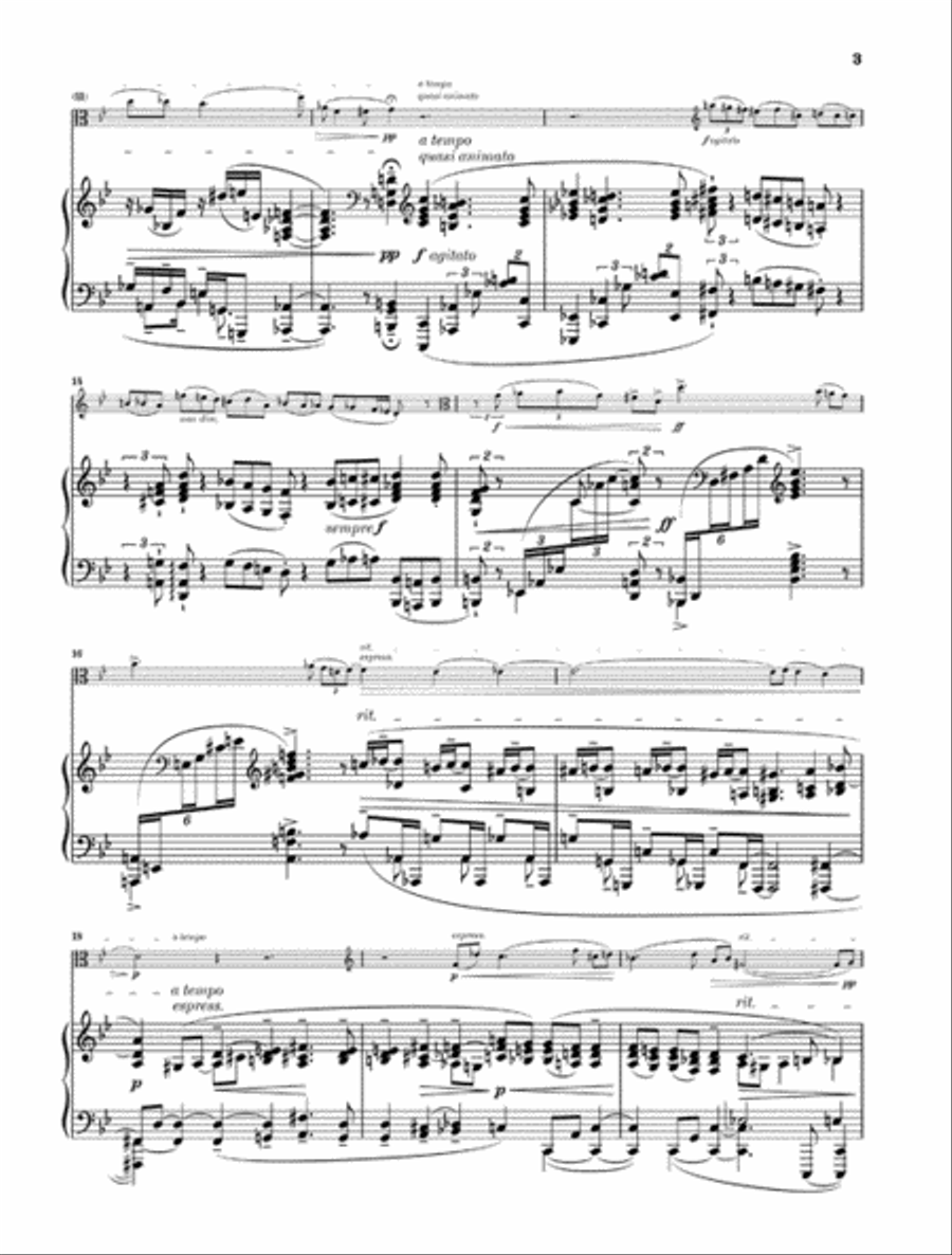 Max Reger – Clarinet Sonata, Op. 107 Piano Accompaniment scores gallery preview page 3