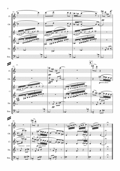 Debussy: Piano Preludes Bk.1 No.2 "Voiles" - wind quintet image number null
