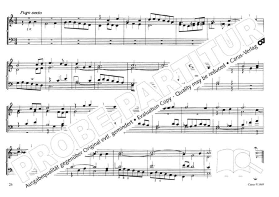 Musikalischer Blumenstrauss Organ Solo scores gallery preview page 29