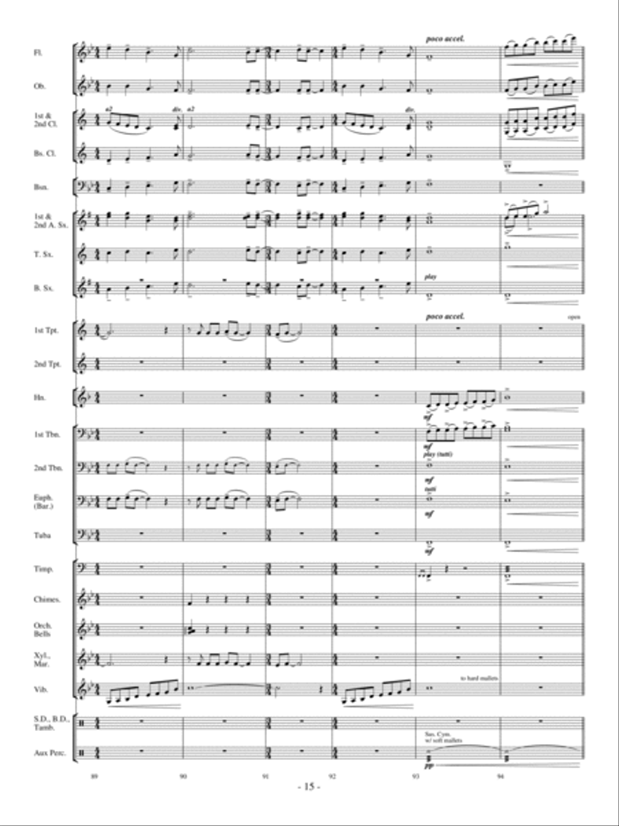 Andromeda Concert Band scores gallery preview page 14