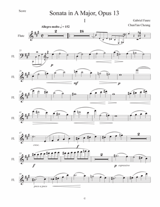 Violin Sonata in A Major I. Allegro Moderato, Opus 13